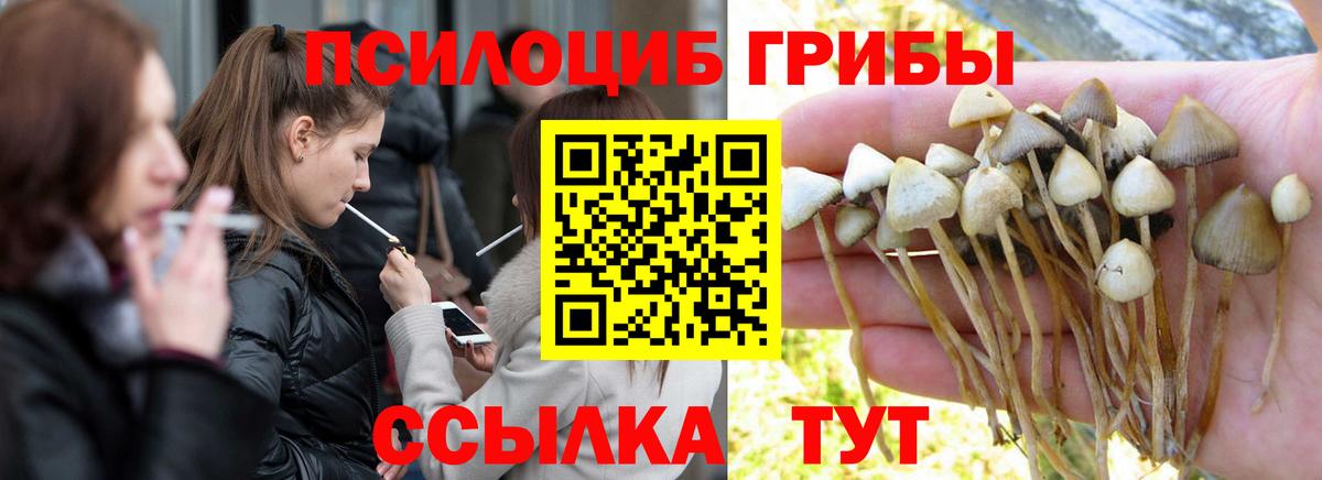 Псилоцибиновые грибы Magic Shrooms  Галлюциногенные грибы GOLDEN TEACHER  Усть-Илимск  Вход с VPN 